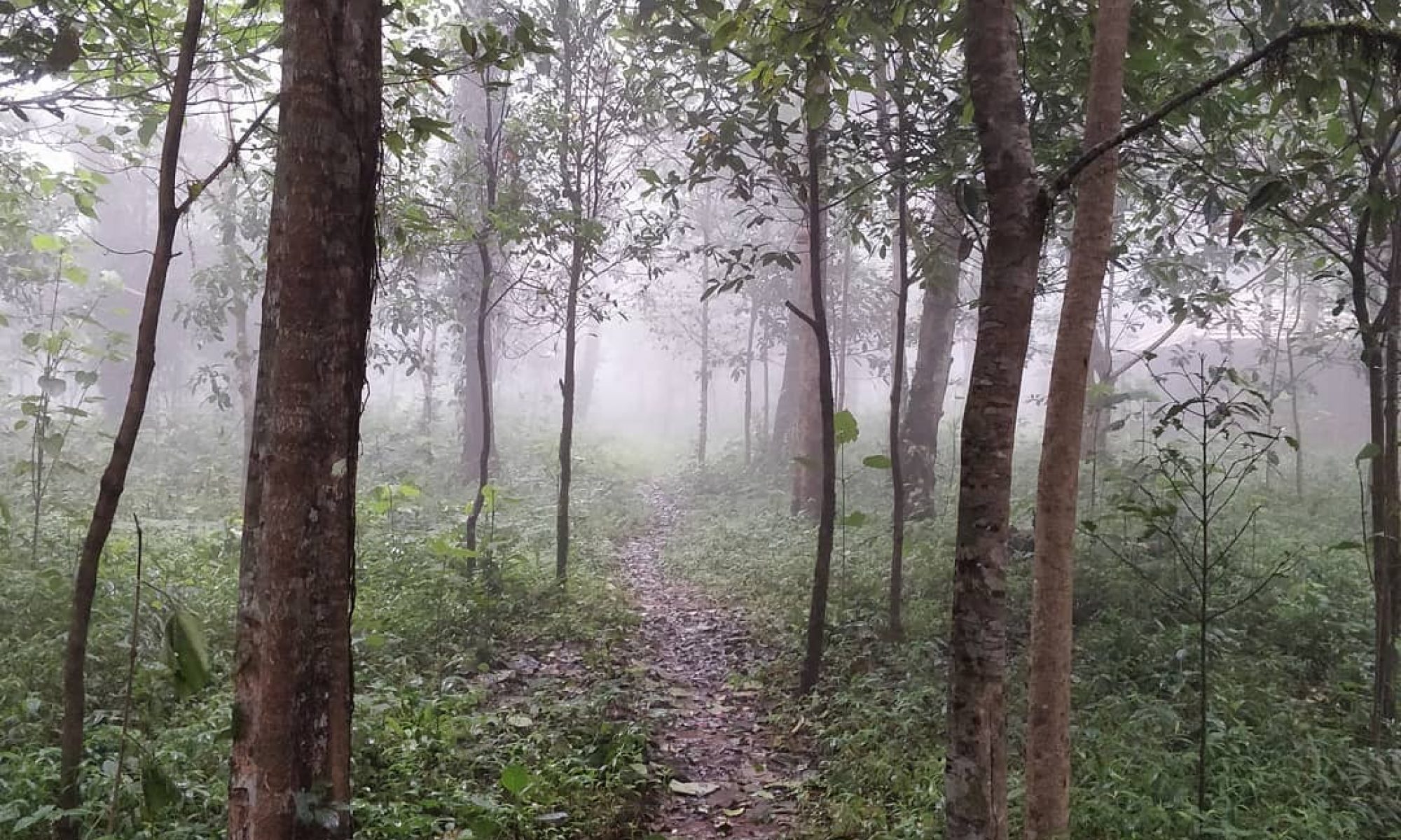 The road less travelled